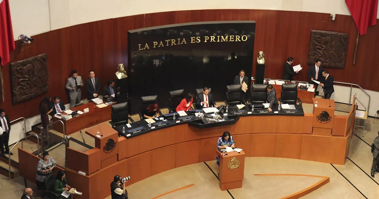 Senadora hablando del bienestar animal en la tribuna