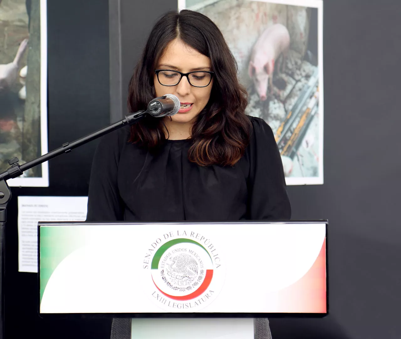 Dulce Ramírez en conferencia.