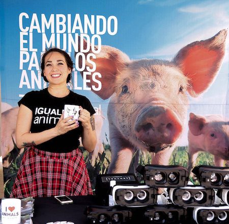 logo Animal Equality