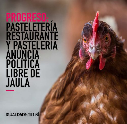 logo Animal Equality