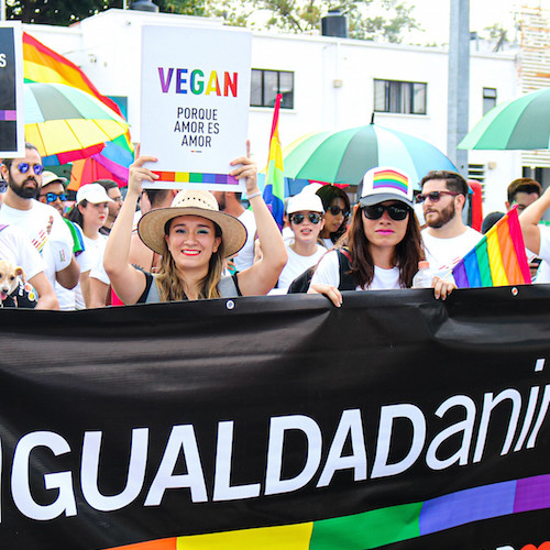 Guadalajara Pride 2019