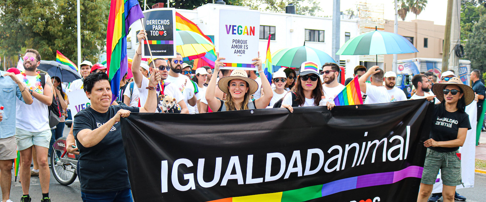 Guadalajara Pride 2019
