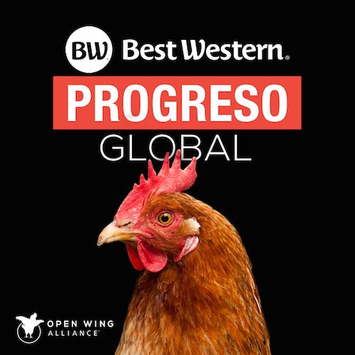 Ayer se dio inicio a la celebración del festival de carne de perro de Yulin en China y miles de perros serán matados brutalmente. logo Animal Equality
