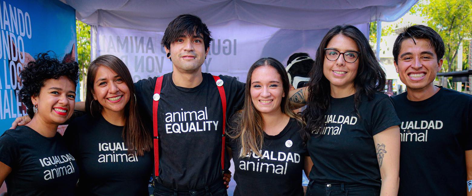 Igualdad Animal cambiando el mundo por los animales