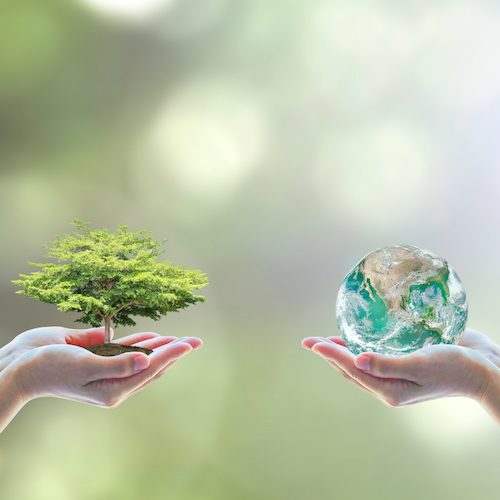 Esta colaboración nos permite avanzar en nuestro misión de acabar con la crueldad hacia los animales y asumir la responsabilidad de proteger el planeta para todos.
logo Animal Equality