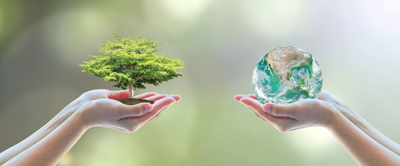 Esta colaboración nos permite avanzar en nuestro misión de acabar con la crueldad hacia los animales y asumir la responsabilidad de proteger el planeta para todos.
Planeta sostenible