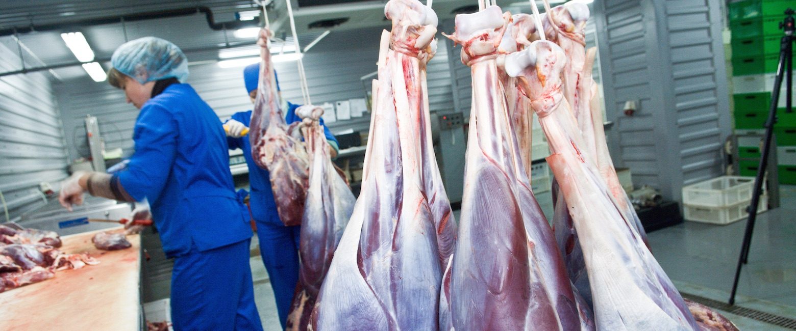 La organización "Cancer Research Reino Unido" lanzó una campaña para animar a las personas a seguir una alimentación vegana para prevenir el cáncer.
Industria de la carne
