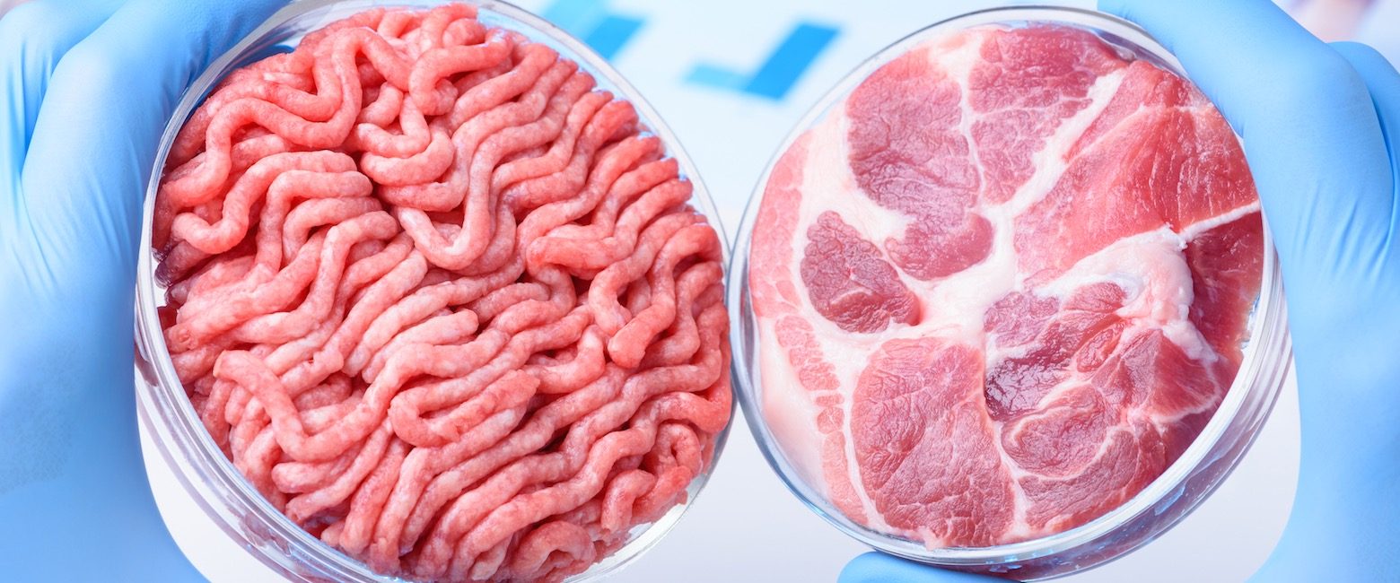Una nueva forma de producir carne sin mataderos es posible gracias a las increíbles oportunidades que los desarrollos tecnológicos actuales ofrecen.
Carne limpia