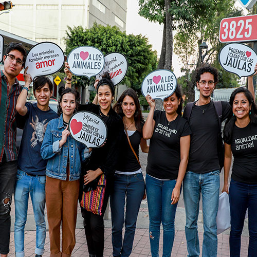 Voluntarios por los animales