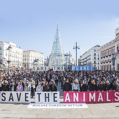 Más de 1.000 activistas acudieron para alzar sus voces en nombre de los animales más maltratados del planeta. logo Animal Equality