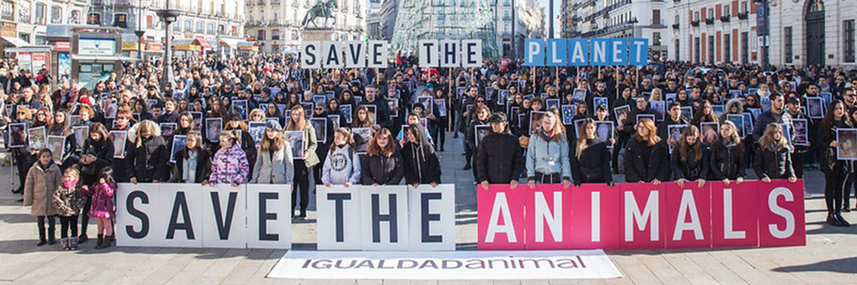 Más de 1.000 activistas acudieron para alzar sus voces en nombre de los animales más maltratados del planeta.
Día de los derechos animales