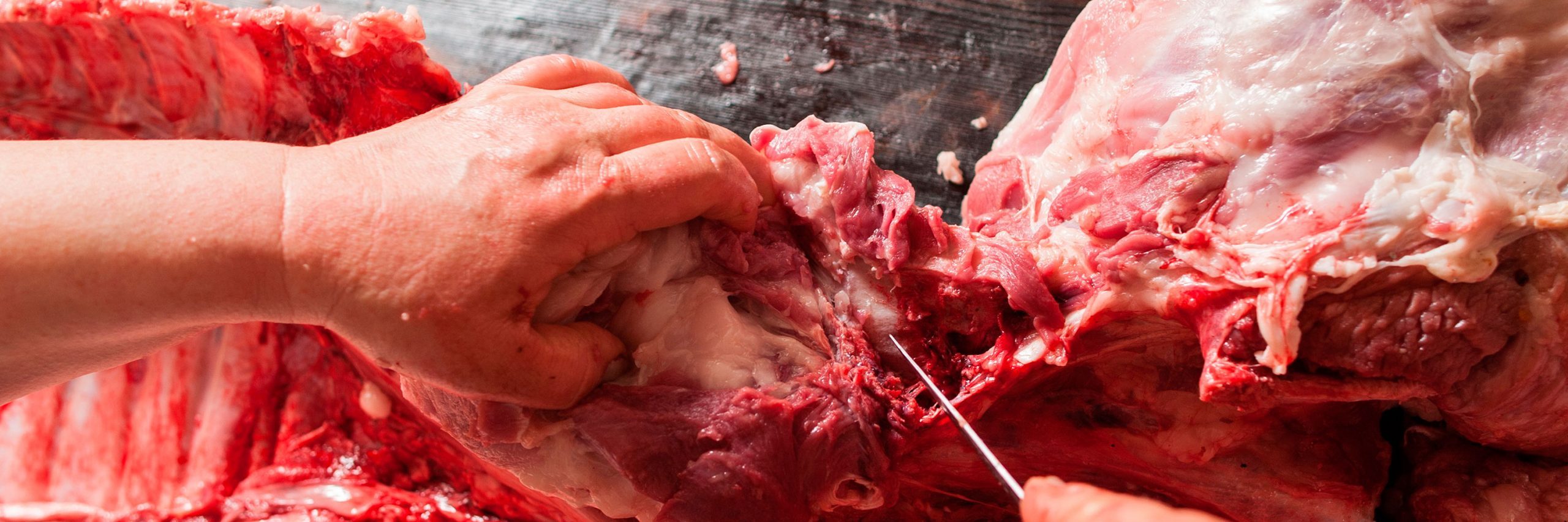 En México, uno de los principales países ganaderos de América Latina, la brucelosis sigue siendo un gran problema zoosanitario. carne infectada con brucella