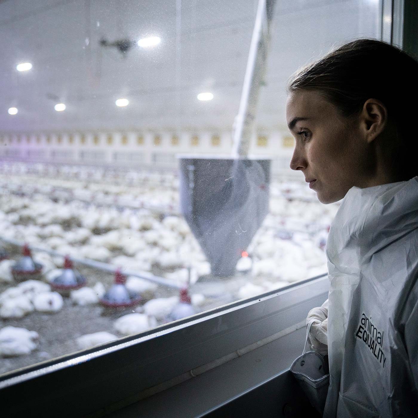 GRANJAS INDUSTRIALES CON ROONEY MARA