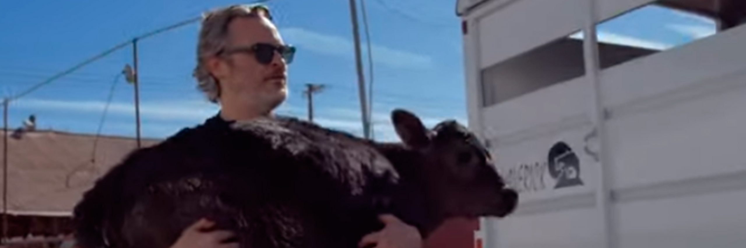 Puso en práctica su impactante discurso del Óscar en defensa de los animales y los salvó de una terrible muerte.
Joaquin Phoenix rescata vaca
