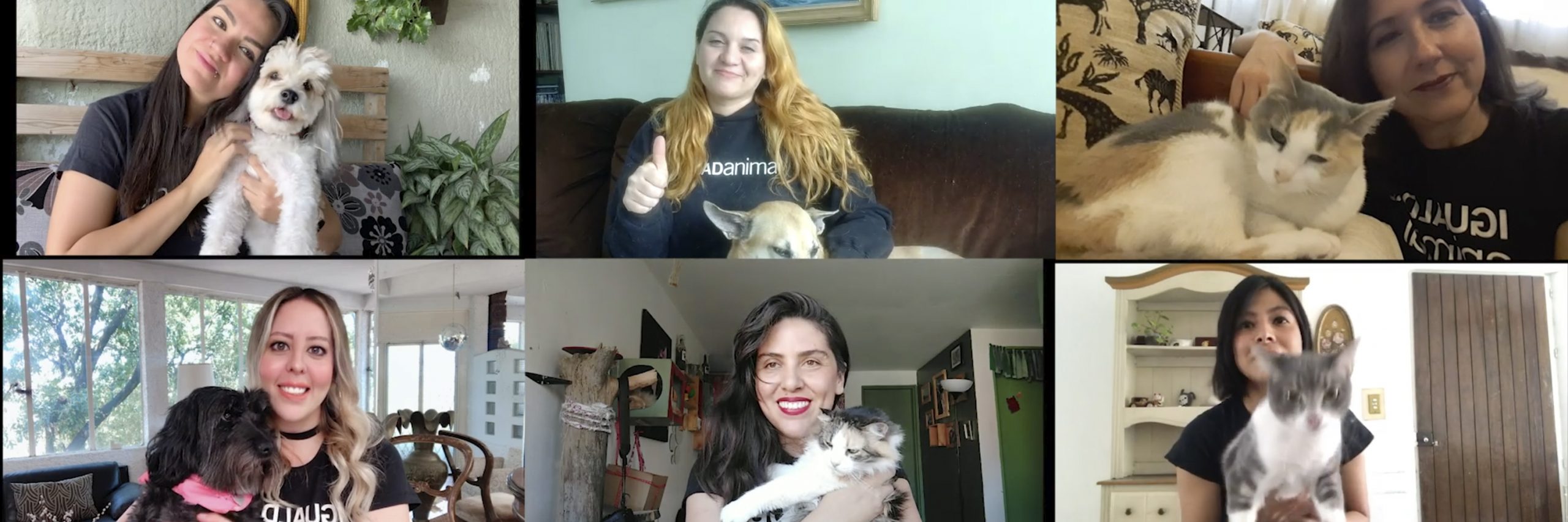 Nuestro trabajo por los animales no se detiene jamás y por eso estamos cuidando muy bien de nuestros equipos de trabajo en todo el mundo para que estén seguros y bien.
