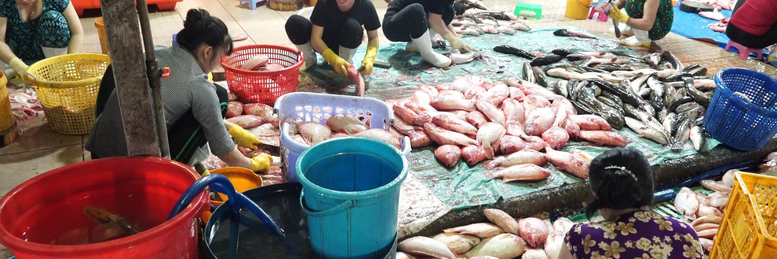 La jefa de biodiversidad de las Naciones Unidas y el principal experto en enfermedades infecciosas en EE.UU. han encendido las alarmas sobre estos lugares.