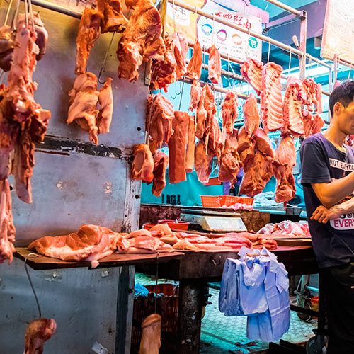 La iniciativa pretende detener inmediatamente las operaciones de estos establecimientos además de la emisión de nuevas licencias. logo Animal Equality