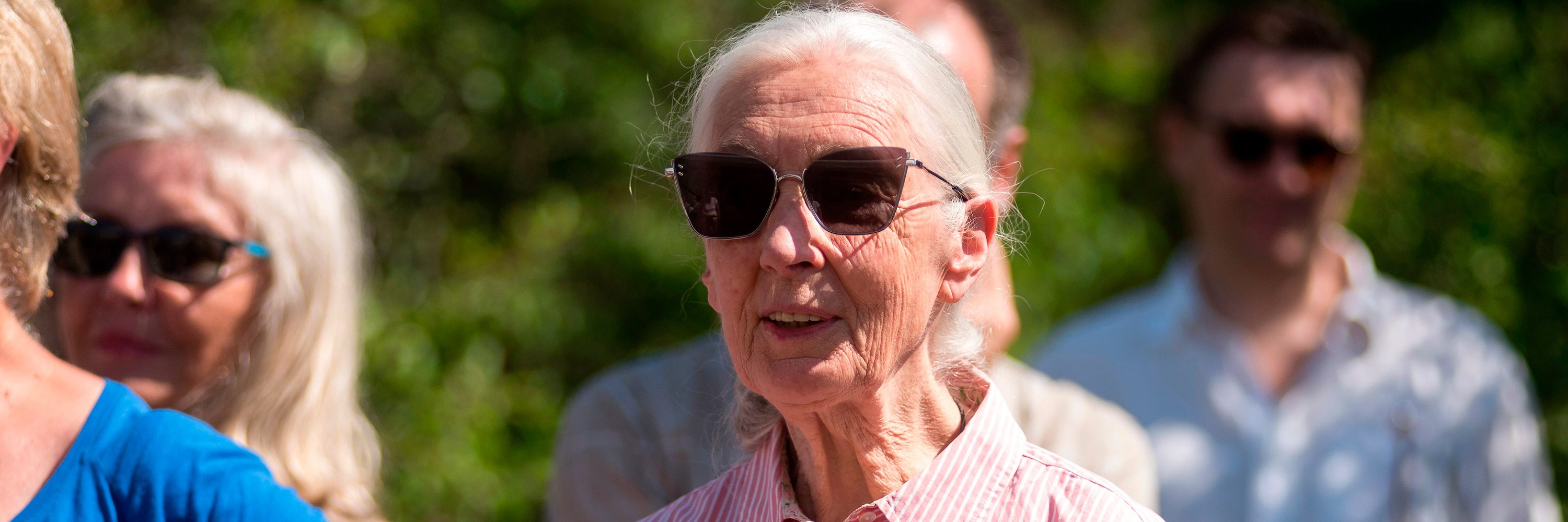 Jane Goodall considera que urge un cambio en cuanto a lo que consumimos para evitar dirigirnos hacia nuestro propio fin.