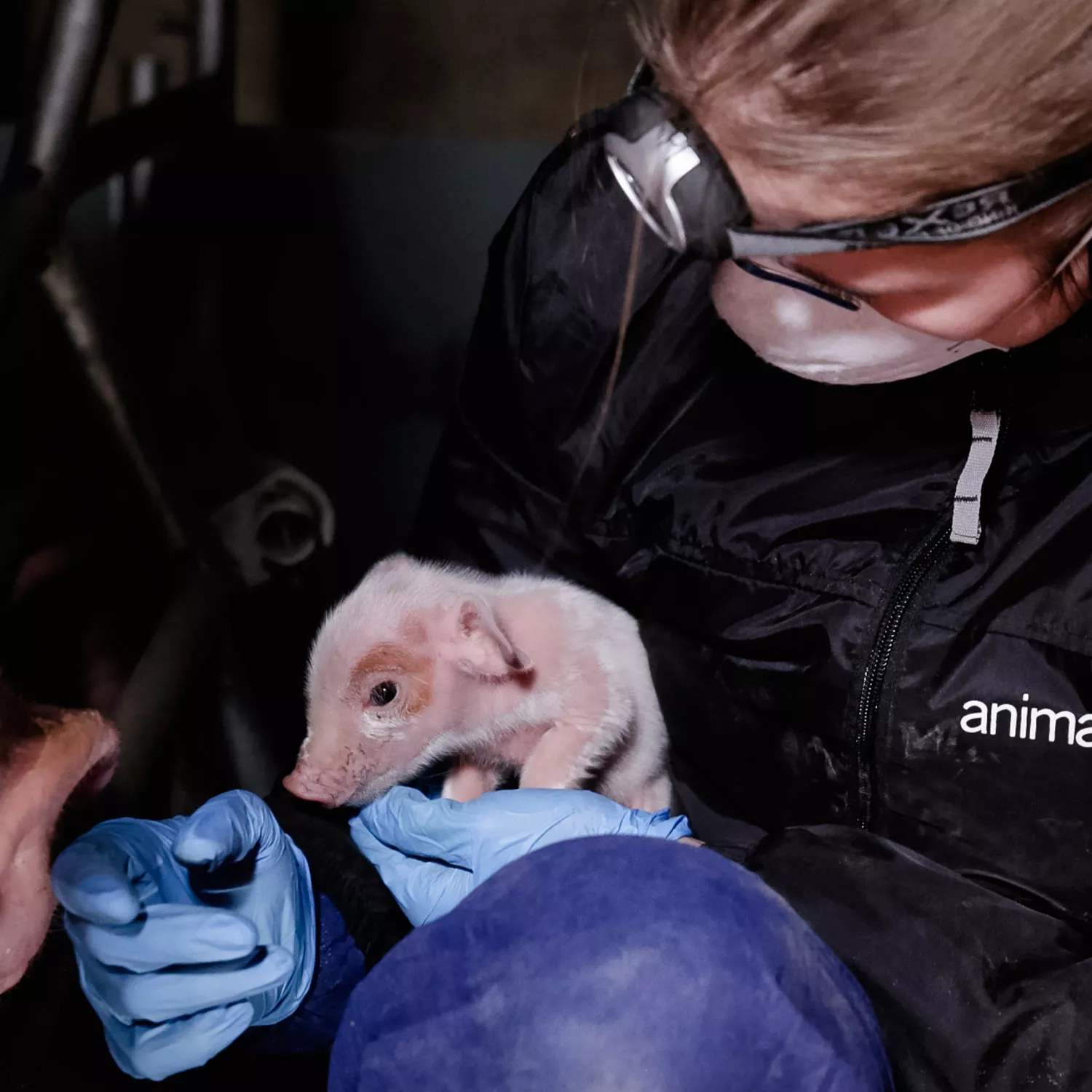 ¿Por qué son necesarias las investigaciones encubiertas?