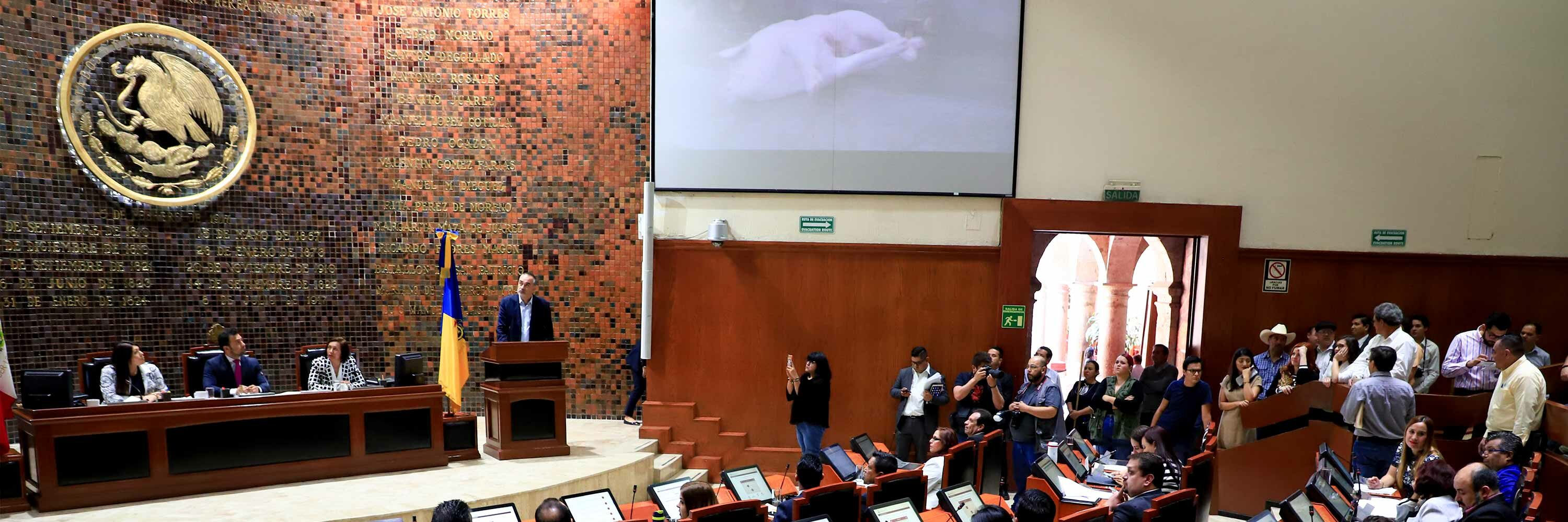 Impulsará iniciativas de ley para que los animales de granja tengan protección legal y la crueldad contra ellos sea castigada.