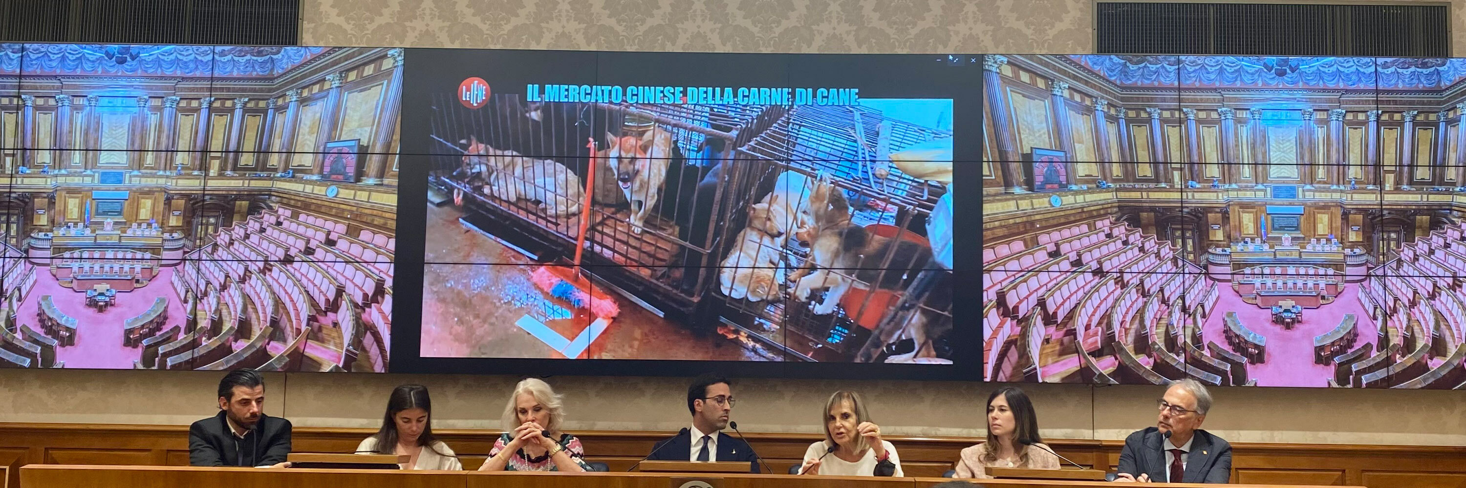 Header image_Yulin: Nuestro discurso en el Senado italiano