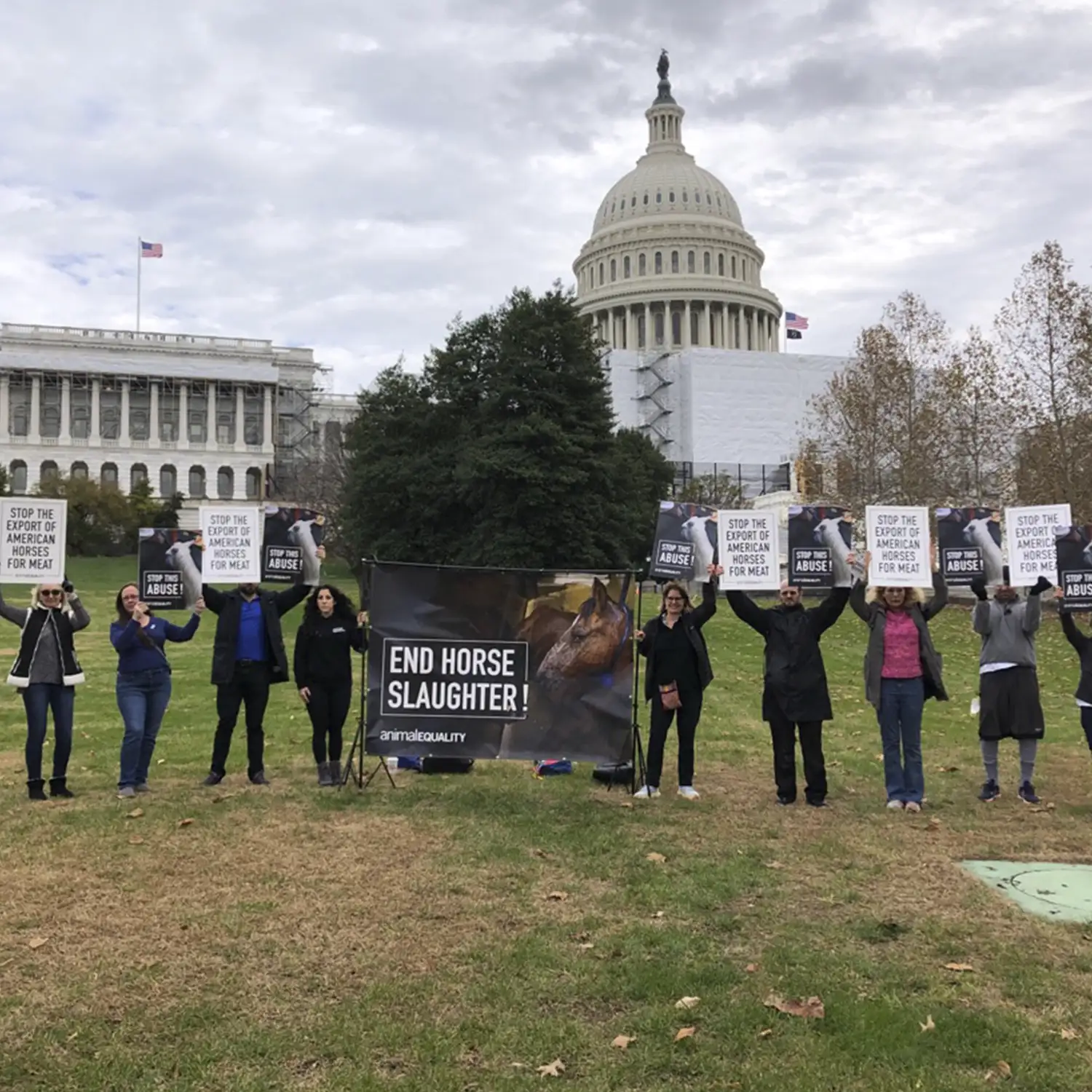 Protesta en el Capitolio para acabar con la matanza de caballos para consumo