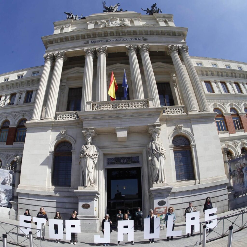 Voluntarios de Igualdad Animal en el Ministerio de Agricultura en Madrid, con carteles que dicen 'Stop cages'