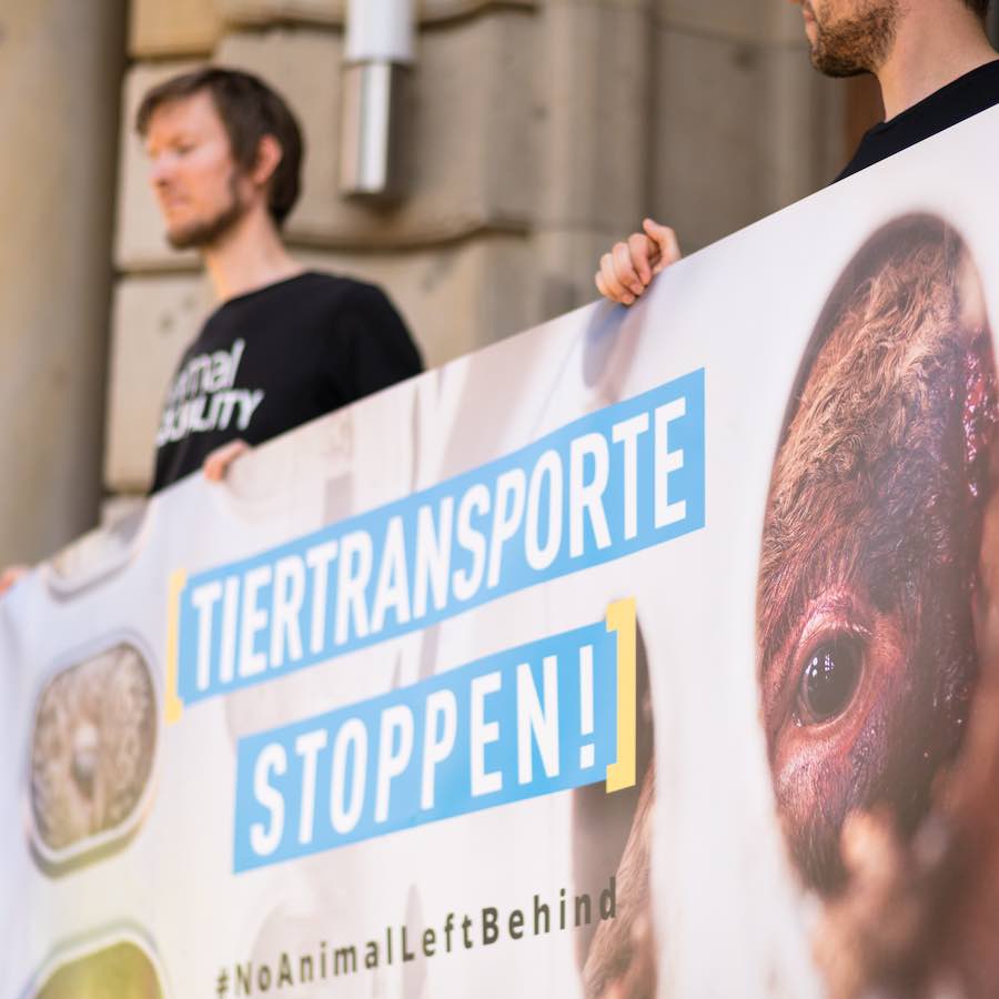 Personas sosteniendo cartel, pidiendo poner fin al transporte de animales a países que no cumplen con las leyes de transporte de la Unión Europea.