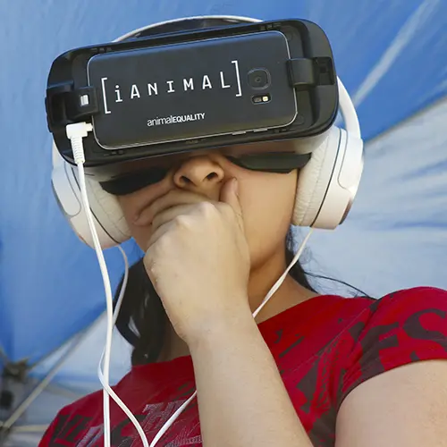 Persona impactada al ver las imágenes del iAnimal con lentes de realidad virtual, sobre la crueldad que viven los animales en granjas y rastros