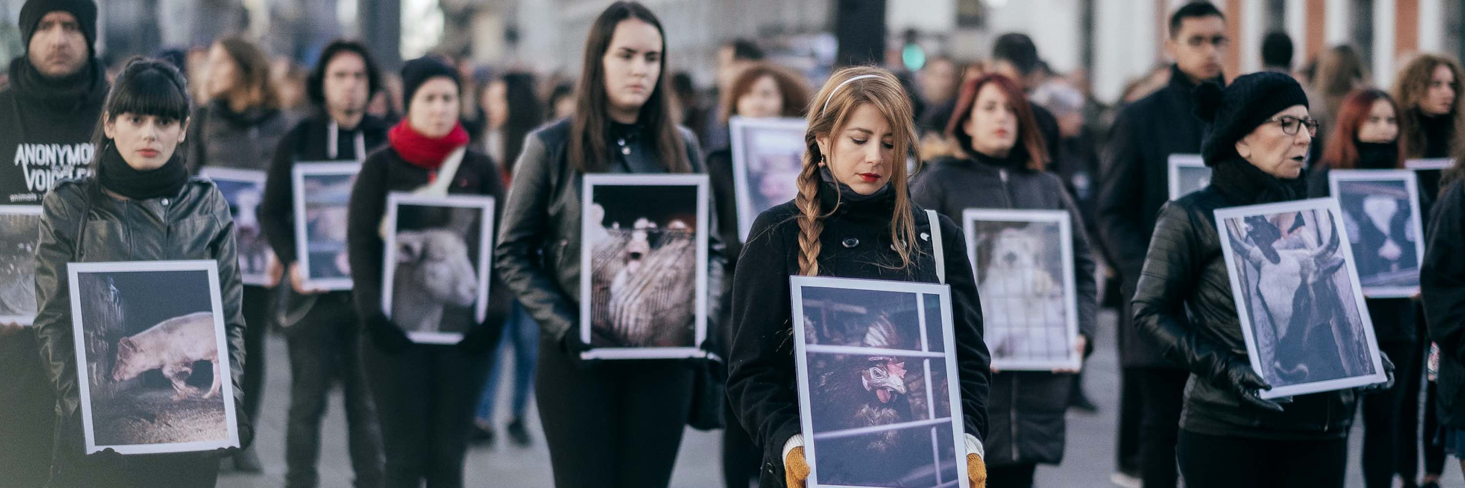 Personas sosteniendo pancartas en una protesta contra el maltrato animal