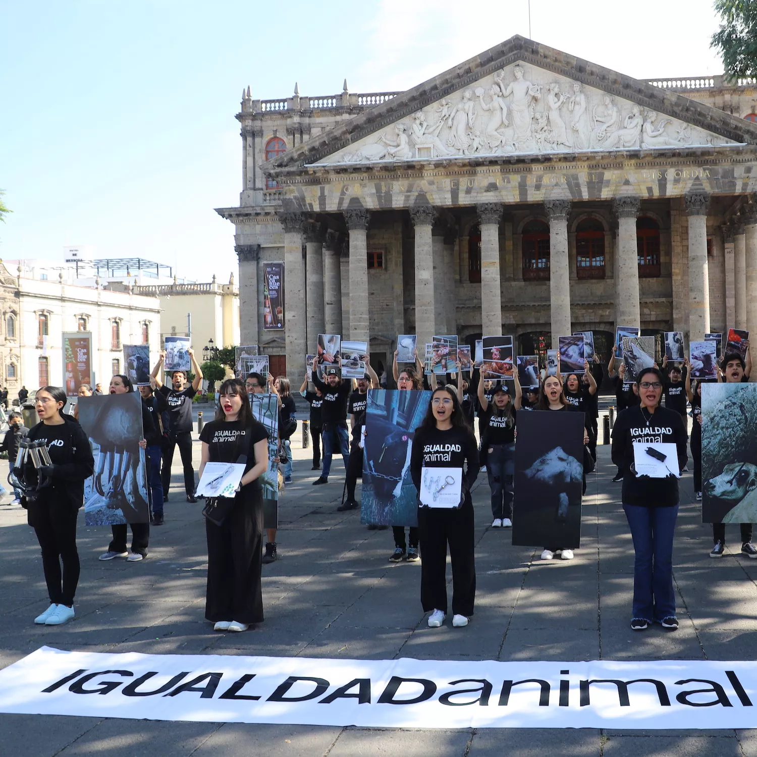 Salir a la calle por los animales: la fuerza de la lucha no violenta 6 Salir a la calle por los animales: la fuerza de la lucha no violenta