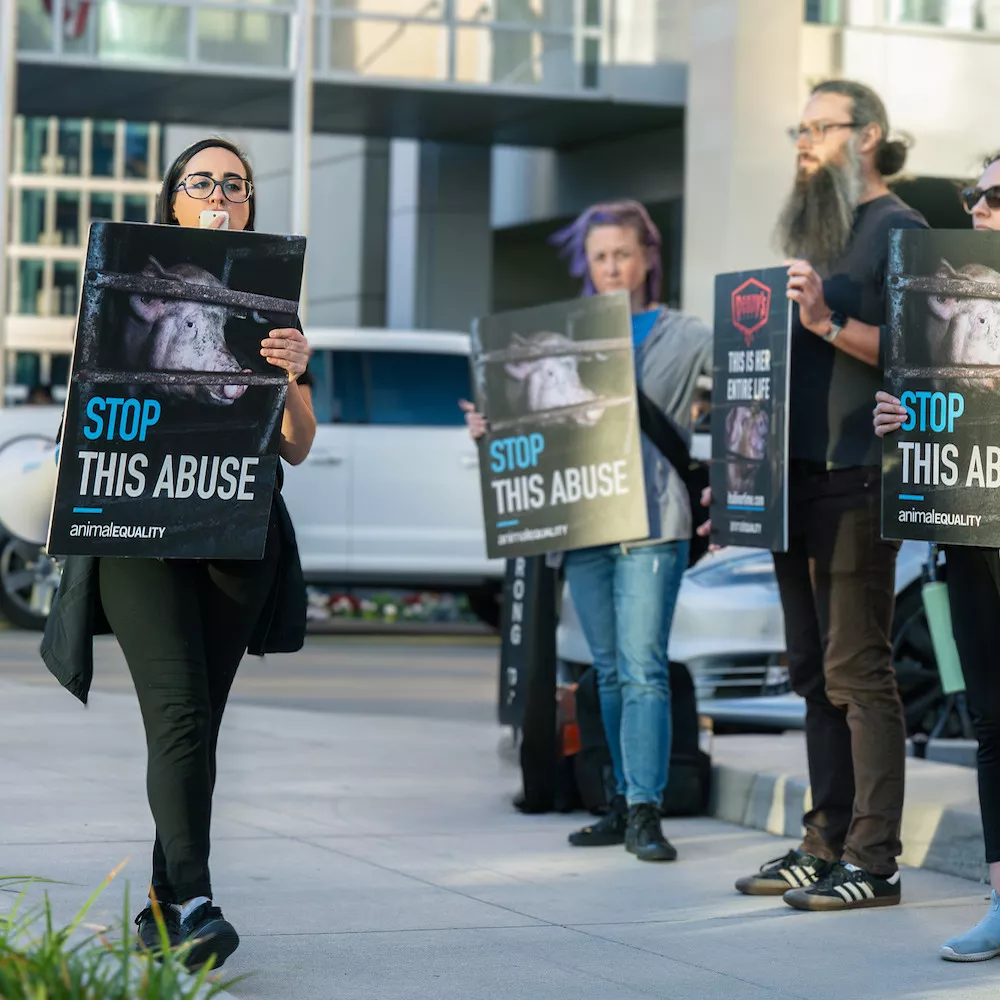 Activista de Igualdad Animal con poster y altavoz en protesta