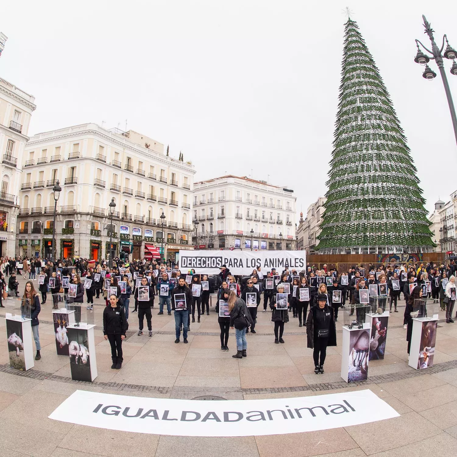 Acto por el Día Internacional de los Derechos Animales en España
