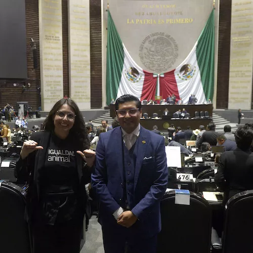 Igualdad Animal en el Congreso mexicano