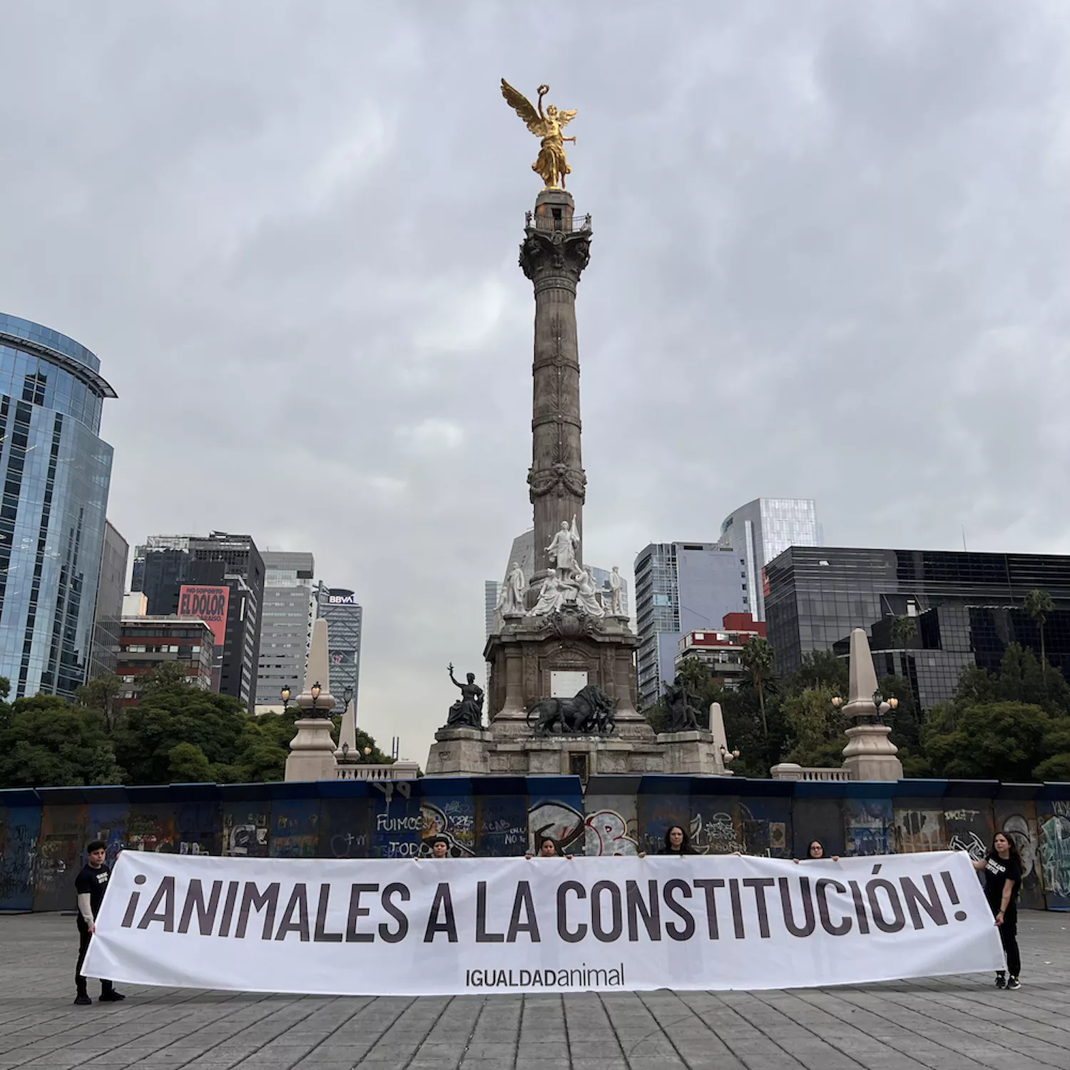 Un año de la protección animal en la Constitución 4 Un año de la protección animal en la Constitución