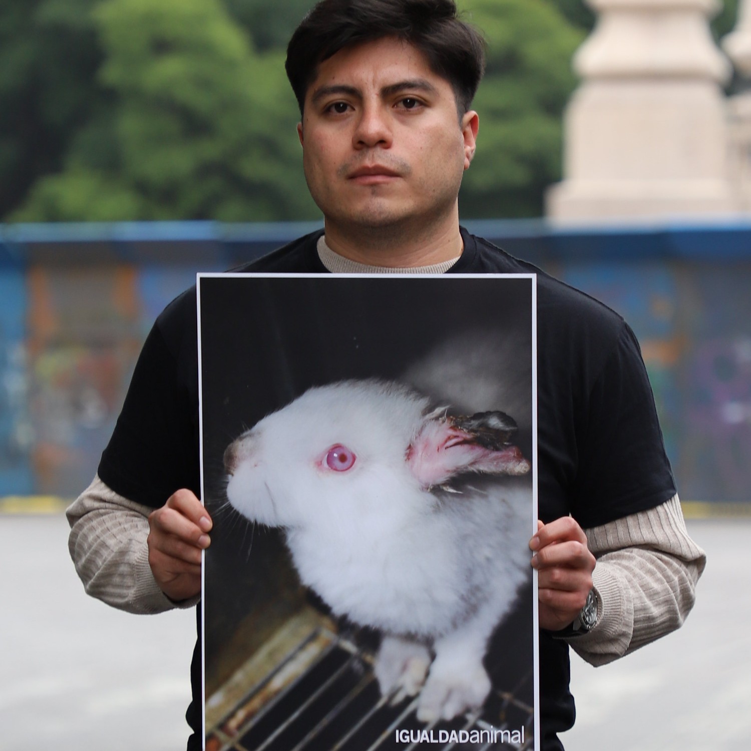 Voluntario en acto mediático de Igualdad Animal en el Ángel de la Independencia