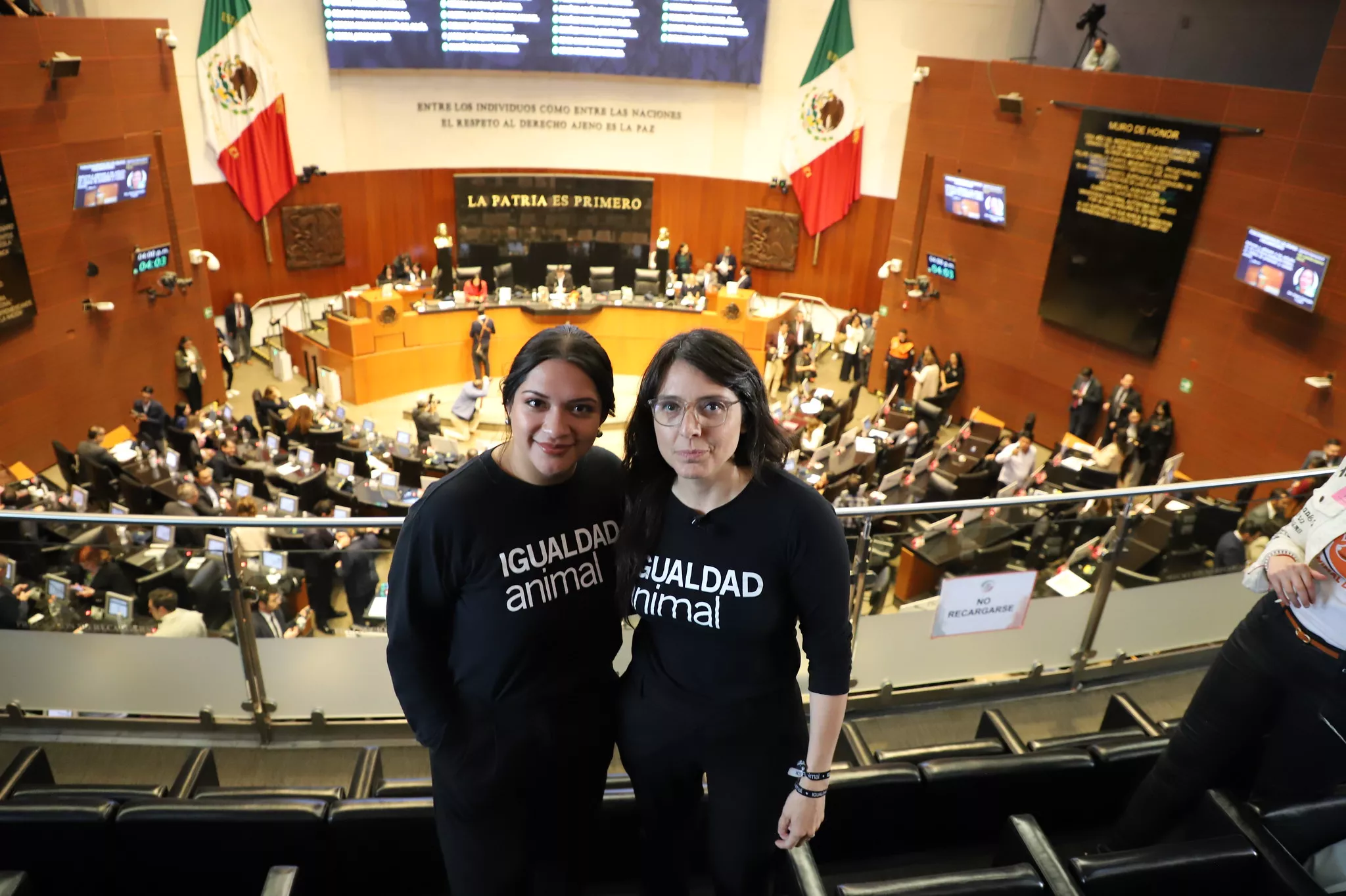 Estamos viviendo un momento crucial en la historia del movimiento animalista. La profesionalización del activismo es ahora una realidad, lo que nos permite elegir una carrera y especializarnos en la protección animal.