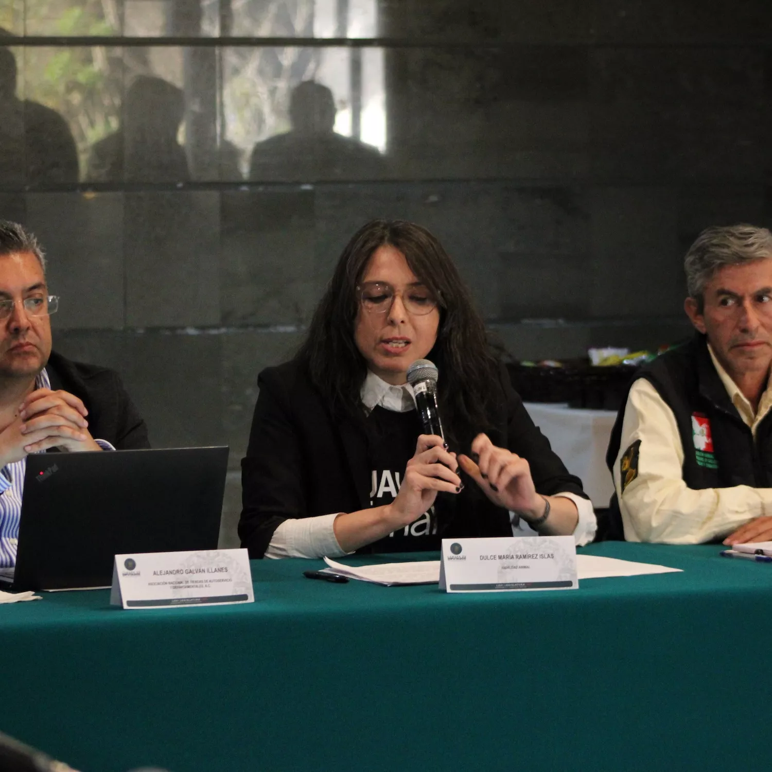 Sociedad civil muestra firmeza en mesa de trabajo para la Ley General de Protección Animal