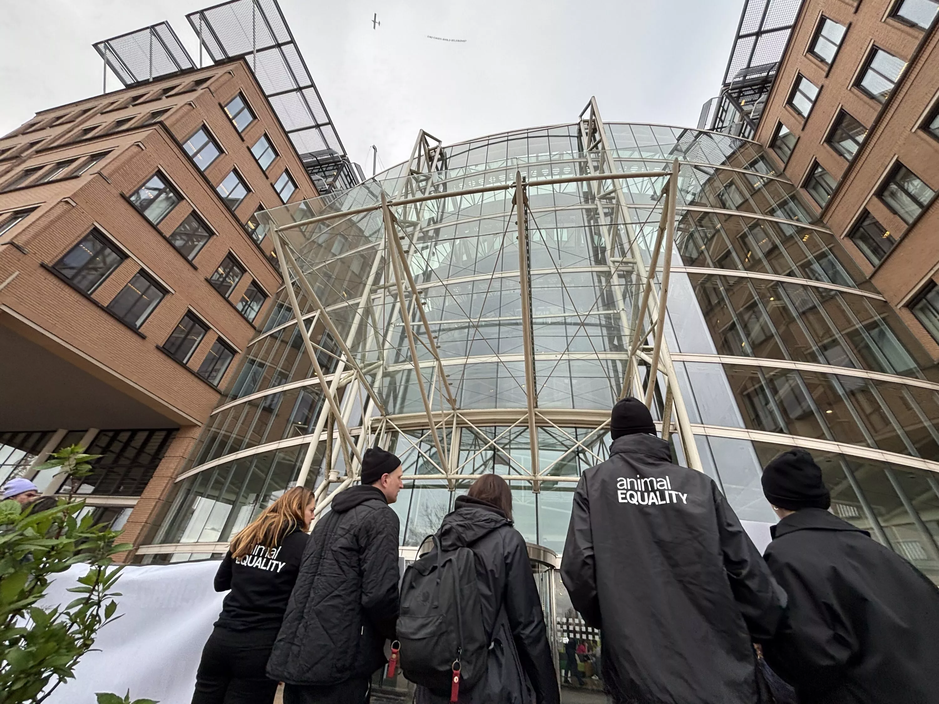 Activistas de Igualdad Animal confrontan a Ahold Delhaize. 