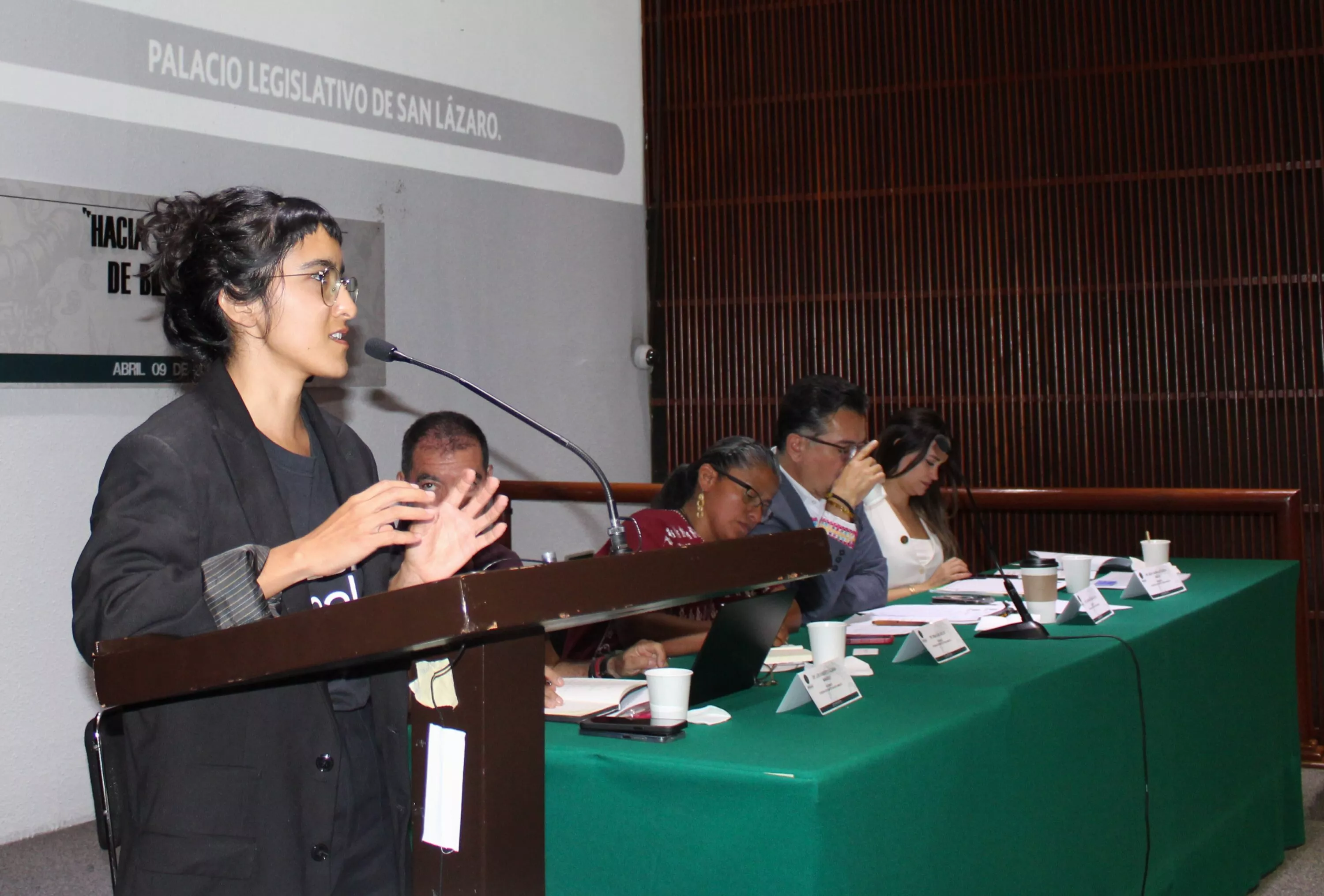 El Congreso ha caído en omisión legislativa pese al trabajo de organizaciones, academia y especialistas.