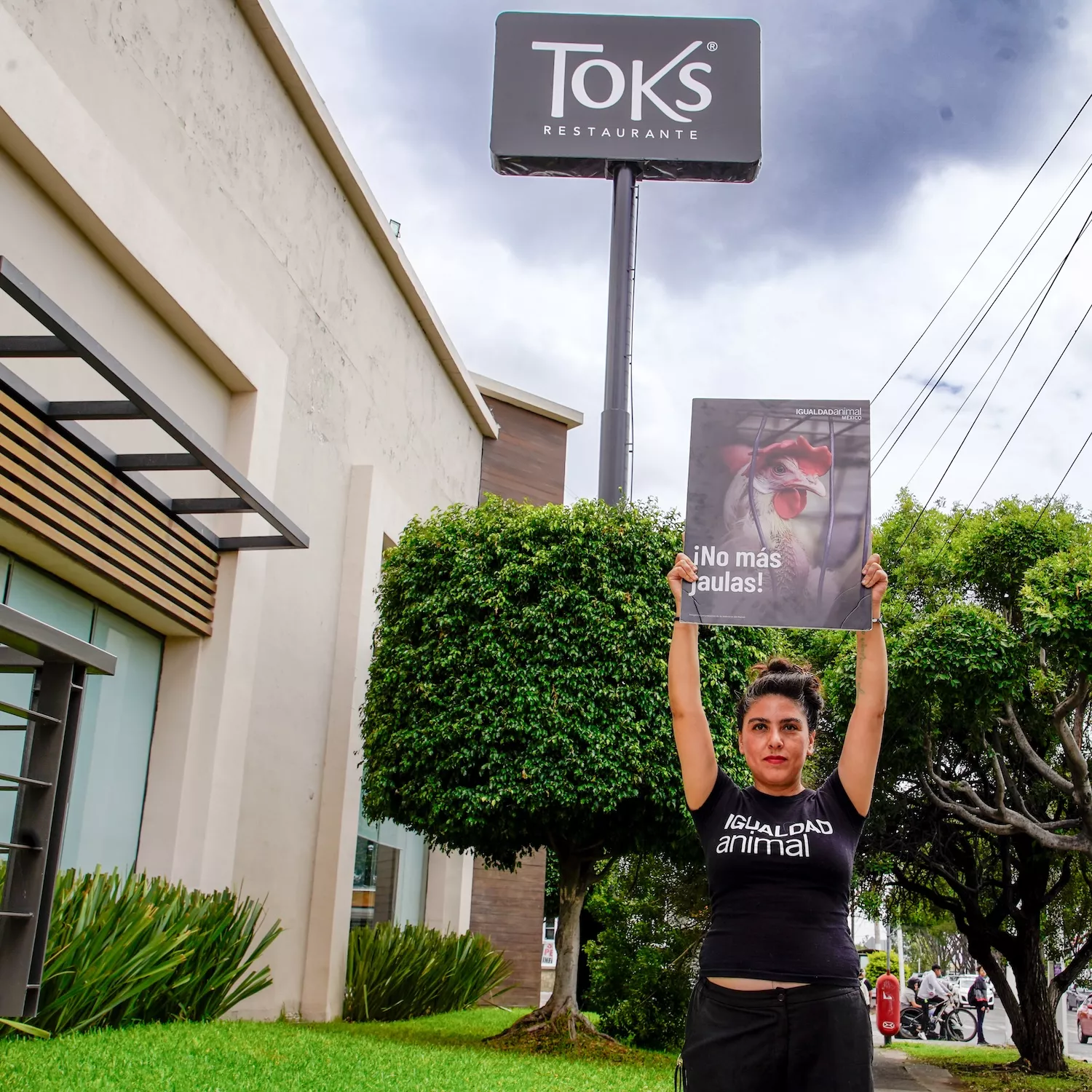 Equipo de Igualdad Animal protestando frente a Toks