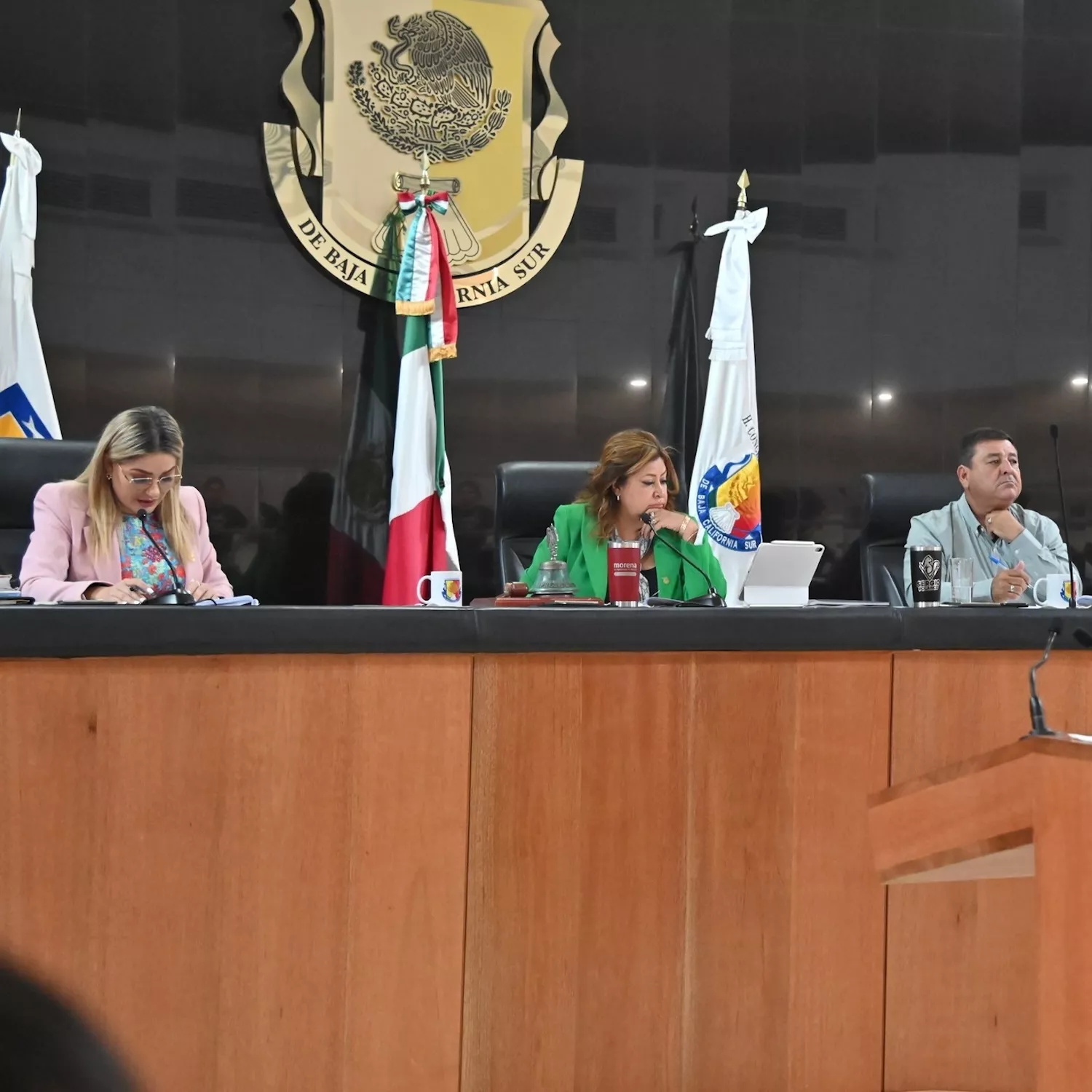 Congreso de Baja California Sur exhorta al Federal a cumplir con la Ley General de Protección Animal