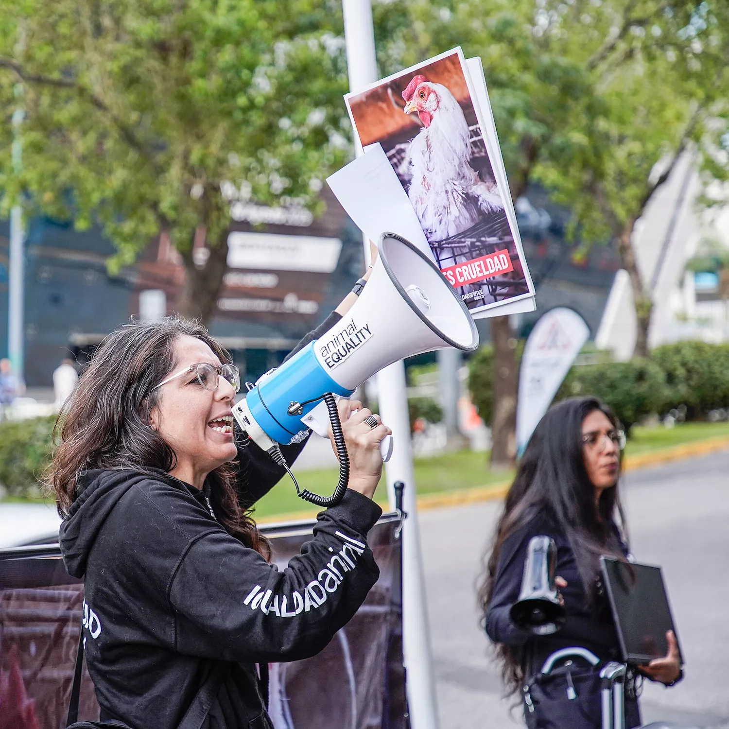 Un legado de lucha por los animales: 13 años de Igualdad Animal