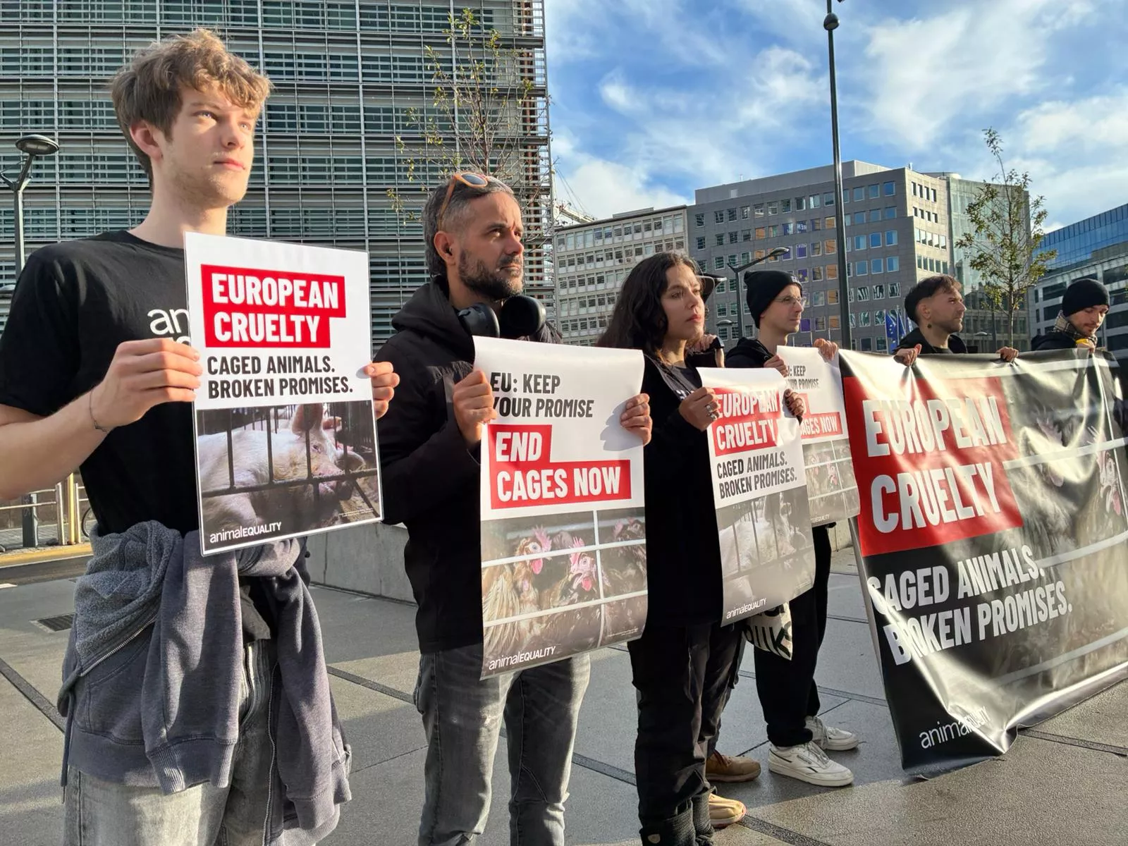 En peligro, la esperada reforma de bienestar animal de Europa 5