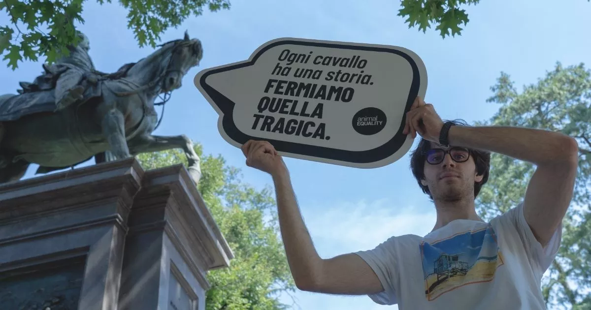 Activistas de Igualdad Animal piden el fin a la matanza de caballos. 
