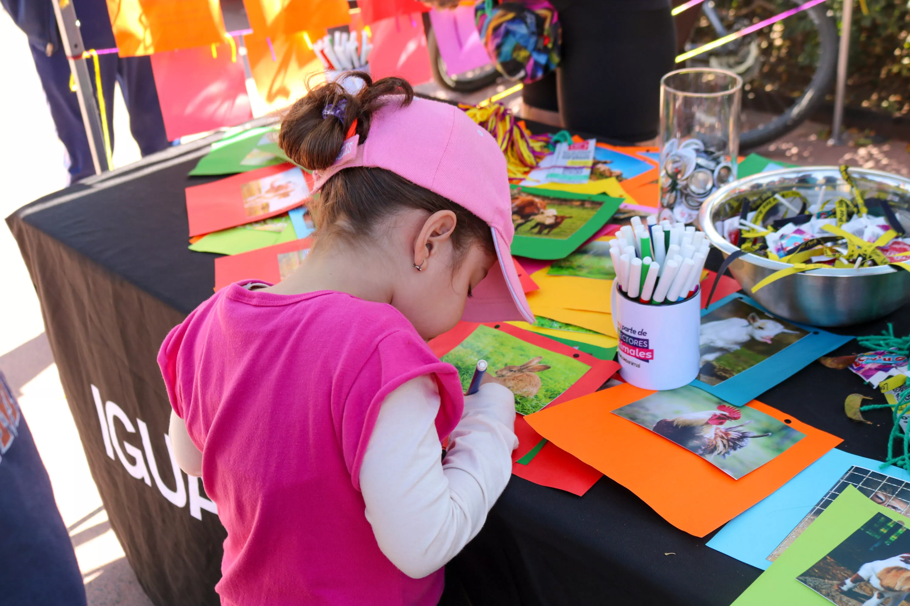 Niñas, niños y jóvenes se preocupan por los animales, revela encuesta del INE 5 Niñas y niños se preocupan por los animales.