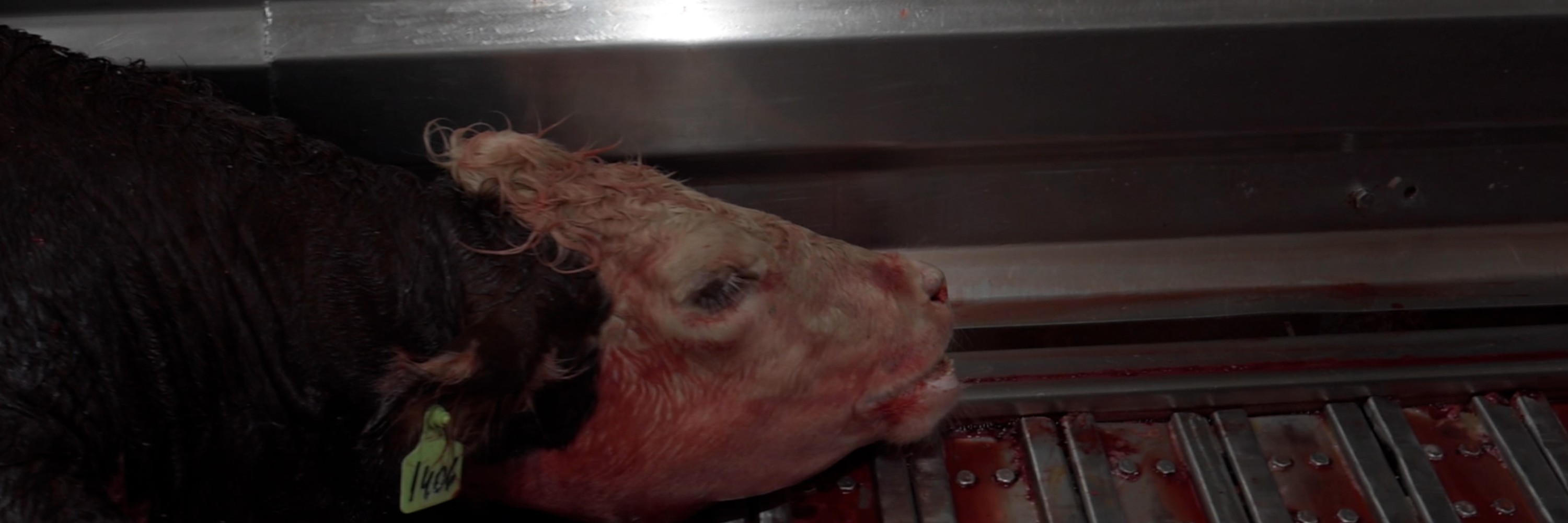 Imagen de la investigación Carne Argentina