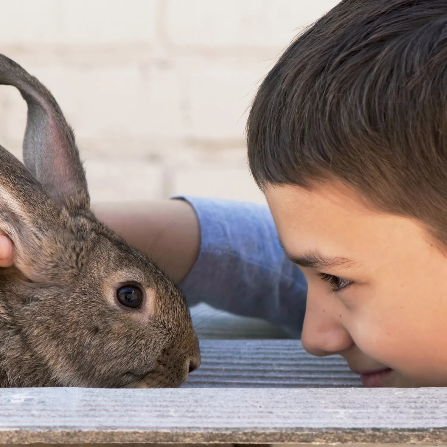 Niñas, niños y jóvenes se preocupan por los animales, revela encuesta del INE 2 Niñas, niños y jóvenes se preocupan por los animales, revela encuesta del INE