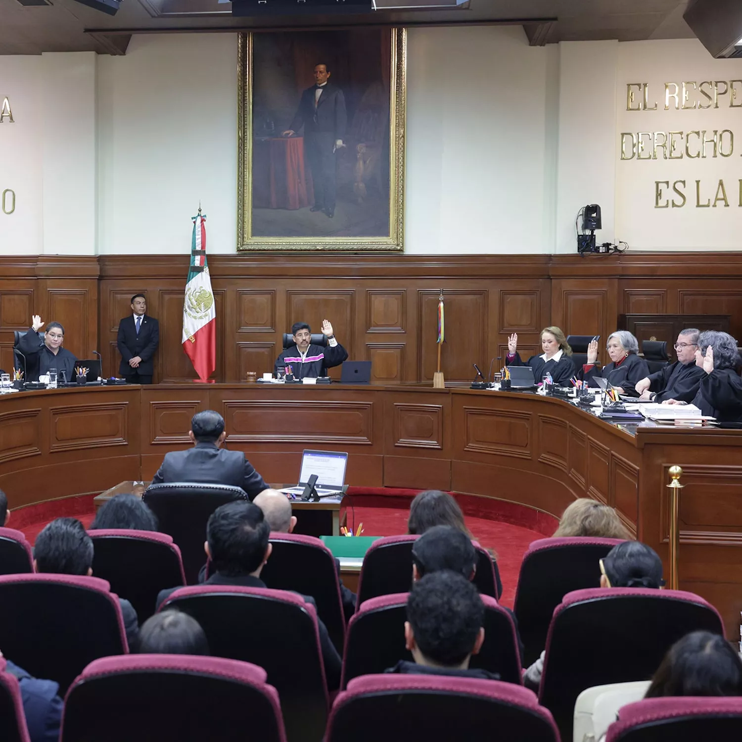 SCJN falla a los animales a pesar del mandato constitucional de protección animal