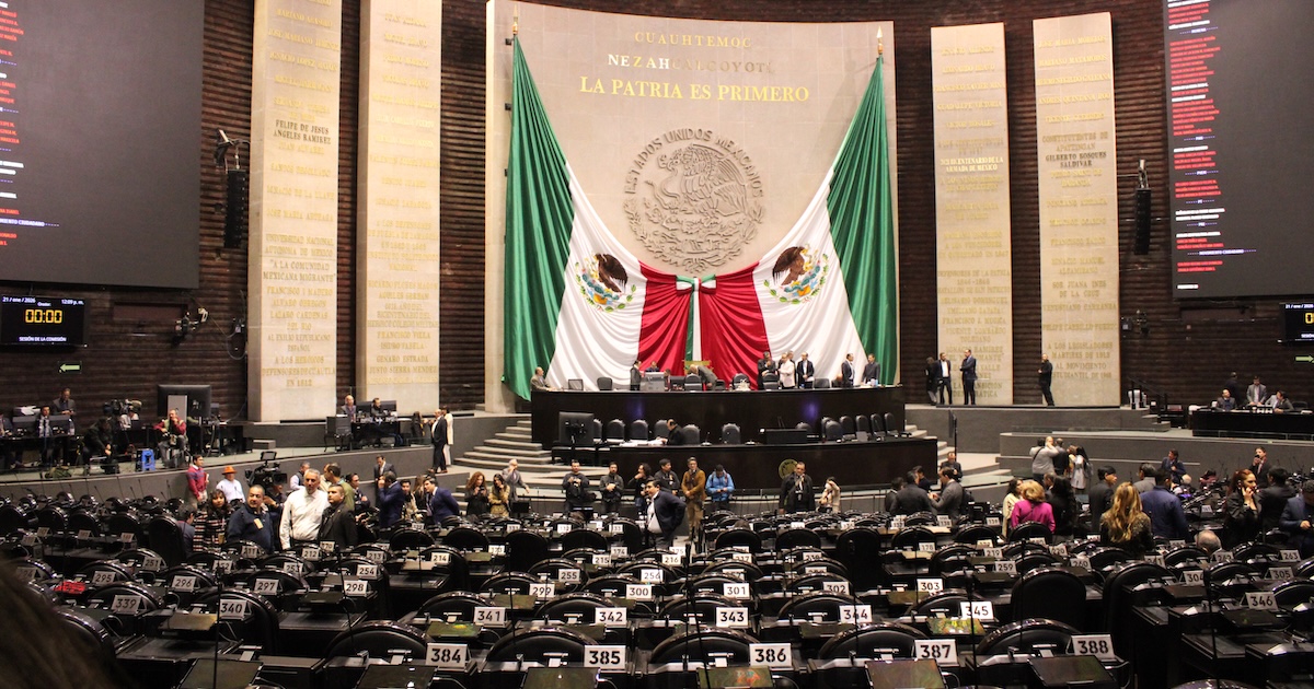 El Congreso de la Unión ha caído en omisión legislativa al no expedir la Ley General de Protección Animal.
